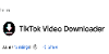 TikTok Video Downloader - Chrome Web Store